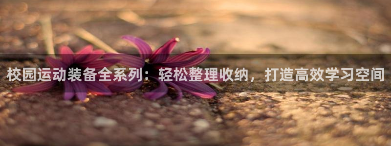 征途国际平台假的吗是真的吗吗:校园运动装备全系列:轻松整理收