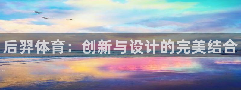 征途国际官网:后羿体育:创新与设计的完美结合